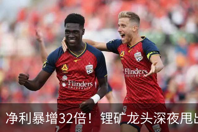 净利暴增32倍！锂矿龙头深夜甩出炸裂预告
